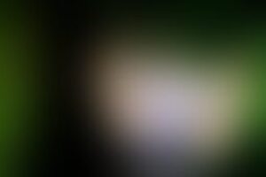 Фотография квеста Эхо Чернобыля от компании Qubbix (Фото 3)