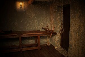 Фотография перформанса Дворец пыток от компании Оглянись (Фото 1)